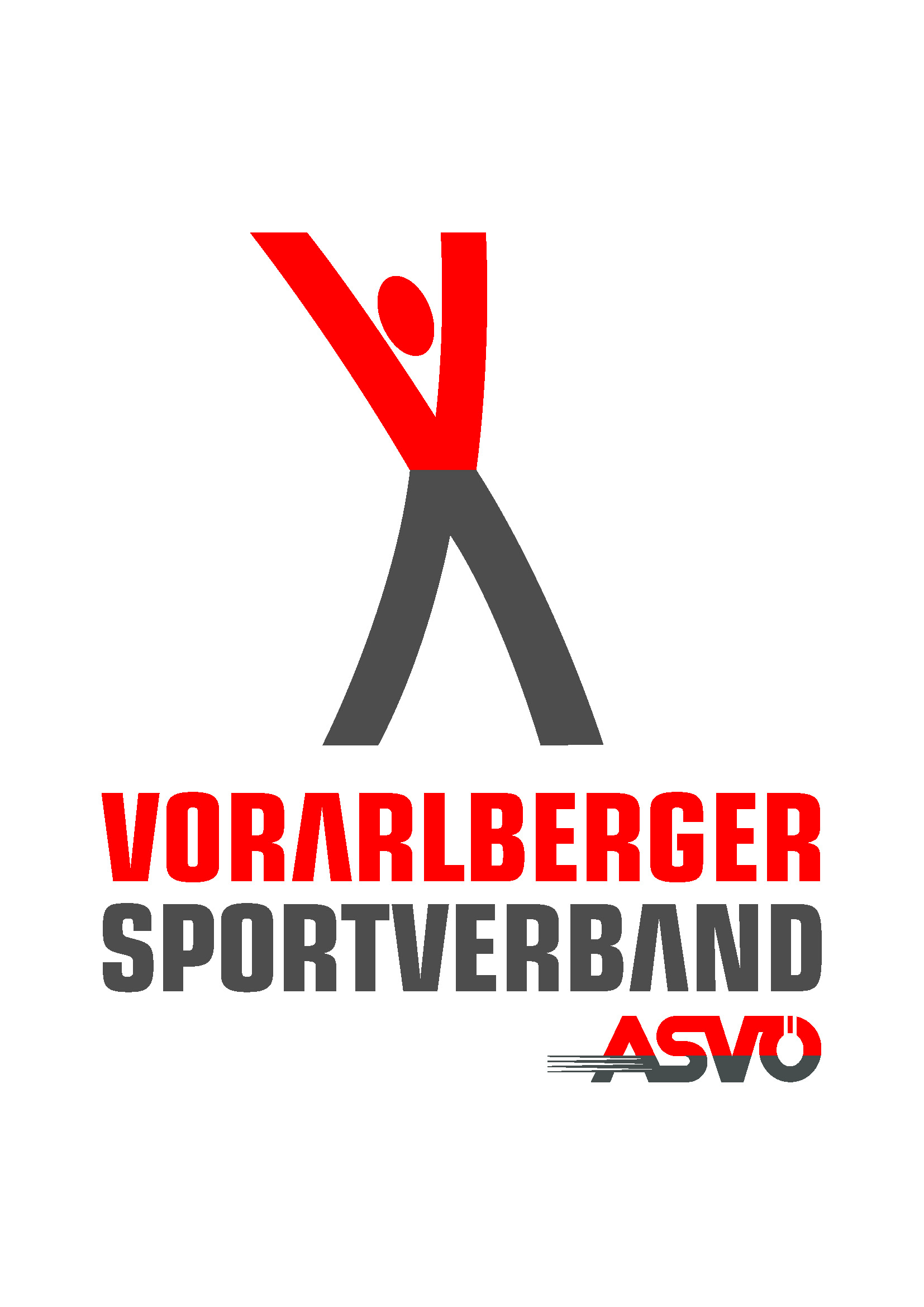 VSV Logo